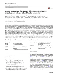 Genome Sequence and Description of Haloferax Massiliense Sp. Nov., a New Halophilic Archaeon Isolated from the Human Gut