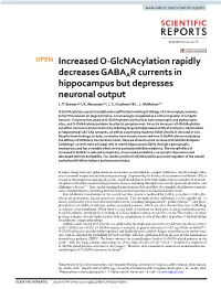 Increased O-Glcnacylation Rapidly Decreases GABAAR Currents in Hippocampus but Depresses Neuronal Output L