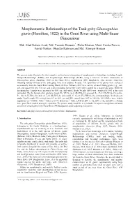 Morphometric Relationships of the Tank Goby Glossogobius Giuris (Hamilton, 1822) in the Gorai River Using Multi-Linear Dimensions
