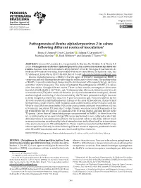Pathogenesis of Bovine Alphaherpesvirus 2 in Calves Following Different Routes of Inoculation1 Bruna P
