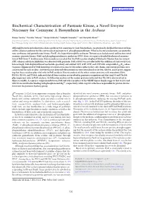 Biochemical Characterization of Pantoate Kinase, a Novel Enzyme Necessary for Coenzyme a Biosynthesis in the Archaea