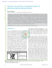 Cleome Viscosa Linn: a Natural Source of Pharmaceuticals and Pesticides R Ticle Ravi Kant Upadhyay Department of Zoology, D