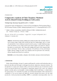Comparative Analysis of Click Chemistry Mediated Activity-Based Protein Profiling in Cell Lysates