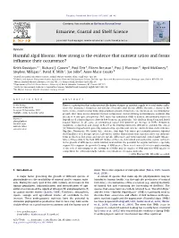 Harmful Algal Blooms: How Strong Is the Evidence That Nutrient Ratios and Forms Inﬂuence Their Occurrence?