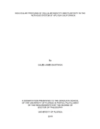 Molecular Profiling of Cellular Identity and Plasticity in the Nervous System of Aplysia Californica