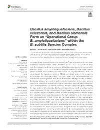 Operational Group B. Amyloliquefaciens” Within the B