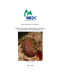 Petition to List the Pinto Abalone (Haliotis Kamtschatkana) As Endangered Under the Endangered Species Act