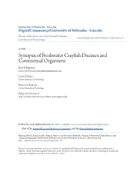 Synopsis of Freshwater Crayfish Diseases and Commensal Organisms Brett .F Edgerton James Cook University, Brettedgerton@Hotmail.Com