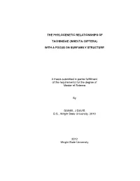 The Phylogenetic Relationships of Tachinidae