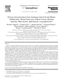 Diverse Microstructures from Archaean Chert from the Mount