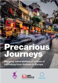 Mapping Vulnerabilities of Victims of Trafficking from Vietnam to Europe 1