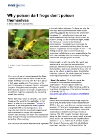 Why Poison Dart Frogs Don't Poison Themselves 5 September 2017, by Bob Yirka