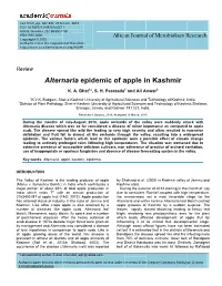 Full-Text (PDF)