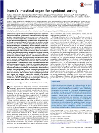 Insectts Intestinal Organ for Symbiont Sorting