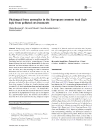 Phalangeal Bone Anomalies in the European Common Toad Bufo Bufo from Polluted Environments
