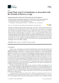 Long-Chain Acyl-Coa Synthetase Is Associated with the Growth of Malassezia Spp