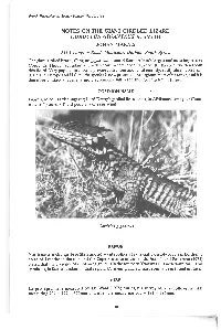 Notes on the Giant Girdled Lizard Cordylus Giganteus A