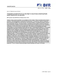 Tetrahydrocannabinol Levels Are Too High in Many Hemp-Containing Foods - Health Impairments Are Possible