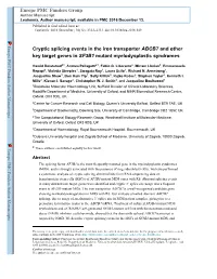 Cryptic Splicing Events in the Iron Transporter ABCB7 and Other Key Target Genes in SF3B1 Mutant Myelodysplastic Syndromes