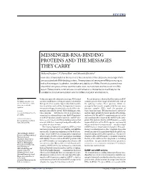 Messenger-Rna-Binding Proteins and the Messages They Carry