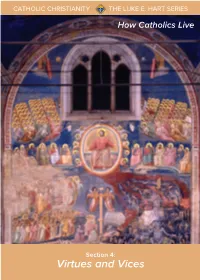 Virtues and Vices to Luke E