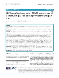 XBP1 Negatively Regulates CENPF Expression Via Recruiting Atf6α to the Promoter During ER Stress Tao Shen1* , Yan Li2,3, Shuang Liang4 and Zhiguang Chen1