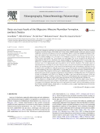 Deep-Sea Trace Fossils of the Oligocene-Miocene Numidian