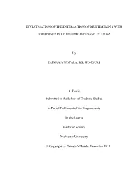 Investigation of the Interaction of Multimerin 1 with Components of Prothrombinase, in Vitro