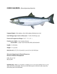 Rainbow Trout