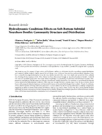 Research Article Hydrodynamic Conditions Effects on Soft-Bottom Subtidal Nearshore Benthic Community Structure and Distribution