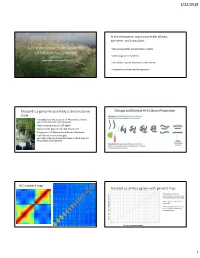 A Chromosome-Scale Assembly of Miscanthus Sinensis