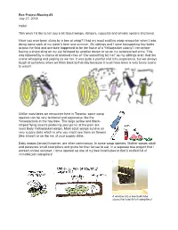 Bee Project Musing #3 July 27, 2018 Hello! This Week I'd Like to Tell You a Bit About Wasps, Stingers, Copycats and Sneaky Sp