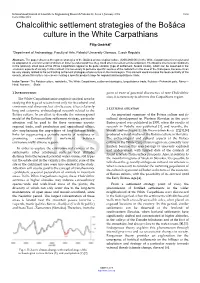 Chalcolithic Settlement Strategies of the Bošáca Culture in the White Carpathians