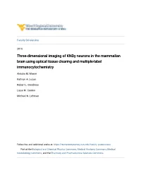 Three-Dimensional Imaging of Kndy Neurons in the Mammalian Brain Using Optical Tissue Clearing and Multiple-Label Immunocytochemistry