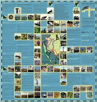X FINAL ISLANDS of BARROW MAP PHOTO SIDE COLOURWAY 2 Copy
