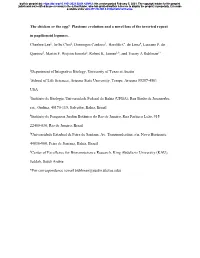 Plastome Evolution and a Novel Loss of the Inverted Repeat In