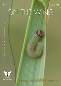 Spring 2020 Newsletter