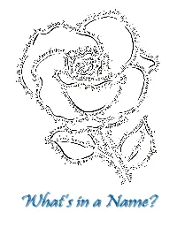 What's in a Name?