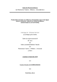 Wilhelms – Universität Bonn Productivity and Water Use Efficie