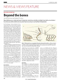 Dinosaur Locomotion: Beyond the Bones (PDF)