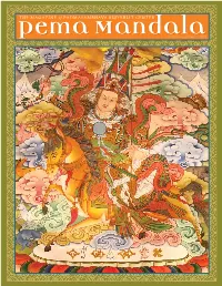 Pema Mandalamandalaspring~Summer 2015 in THIS ISSUE