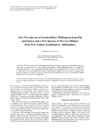 Two New Species of &lt;I&gt;Gnathothlibus
