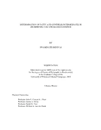 Determination of Fatty Acid Synthesis Intermediates in Escherichia Coli and Bacillus Subtilis