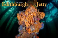 Diving Edithburgh Jetty…