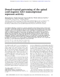 Dorsal-Ventral Patterning of the Spinal Cord Requires Gli3 Transcriptional Repressor Activity