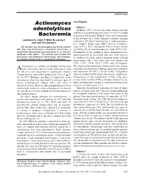 Actinomyces Odontolyticus Bacteremia, a Ocrit (Hct) of 0.26, and a Thrombocyte Count of 95 X 109/L