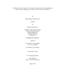 GANNABAN-THESIS-2019.Pdf