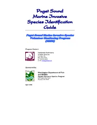 Puget Sound Marine Invasive Species Identification Guide