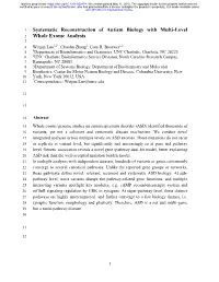 Systematic Reconstruction of Autism Biology with Multi-Level Whole