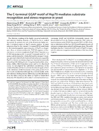 The C-Terminal GGAP Motif of Hsp70 Mediates Substrate Recognition And